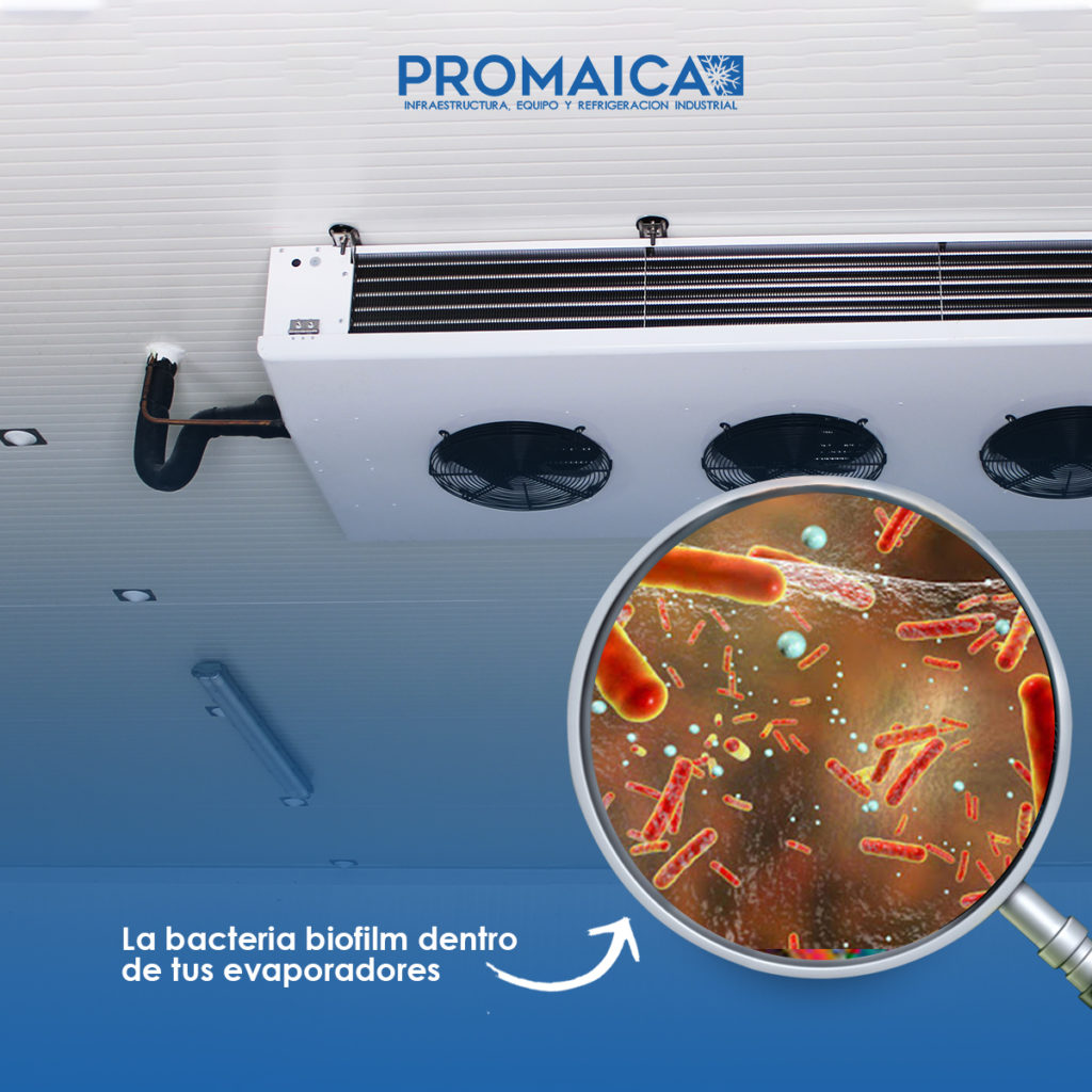 Biofilm, bacteria que se aloja dentro del cuarto frio